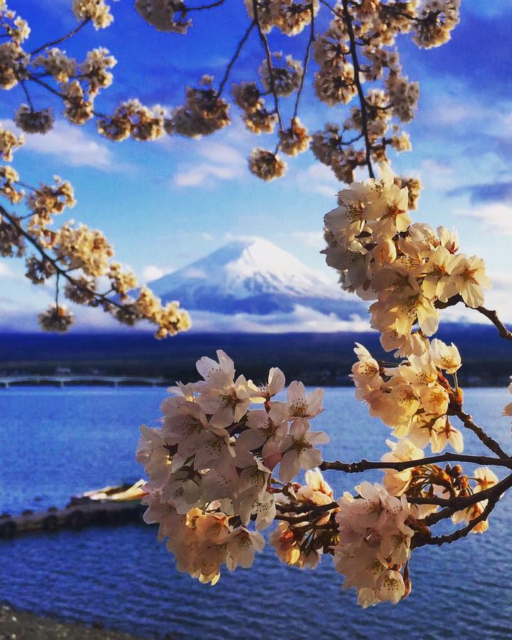 Cyokiya Lake Saiko Fujikawaguchiko Buitenkant foto